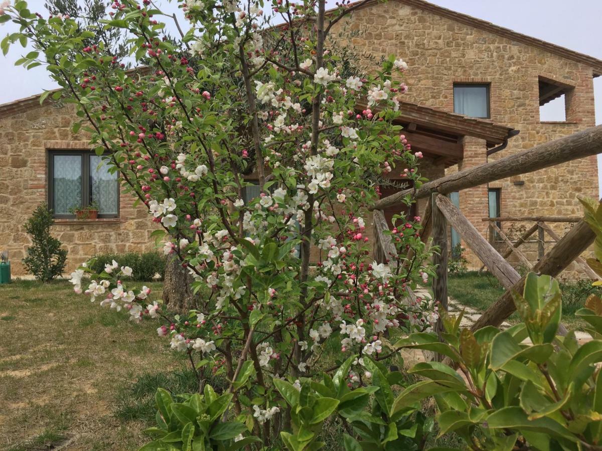 Residenza Al Poggio Degli Ulivi Villa Montepulciano Ngoại thất bức ảnh